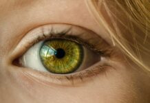 Czy witamina D3 wpływa na wzrok?