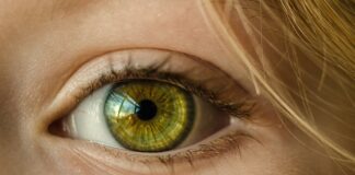 Czy witamina D3 wpływa na wzrok?