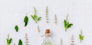 Jak uprawiać zioła na parapecie?
