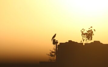 Co pić przy nadmiernym poceniu się? Co pić przy nadmiernym poceniu się?